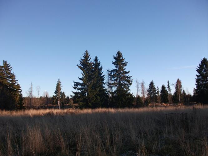 Kindergarden.2010.113